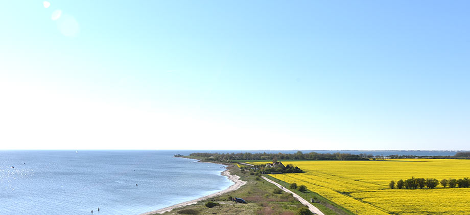 Meer